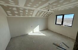 Casa p+1, 218mp utili,500mp teren, Braniste