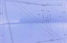 Teren intravilan, 7500 mp, zona Simnicul de sus