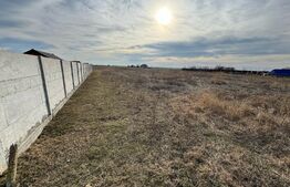 Teren intravilan , 505mp , zona Carcea/Metro