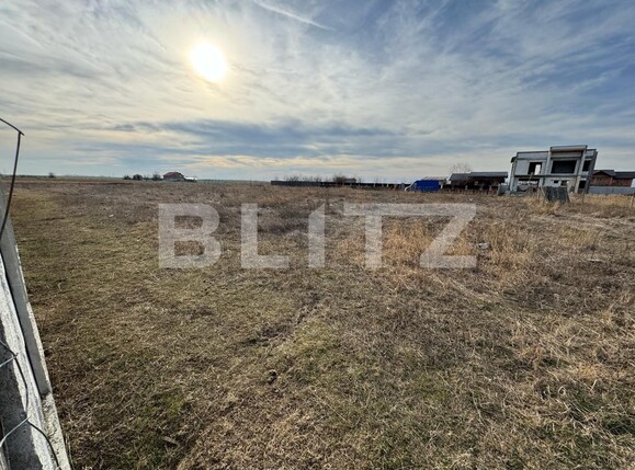 Teren de vânzare Carcea  - 135286TV | BLITZ Craiova | Poza2