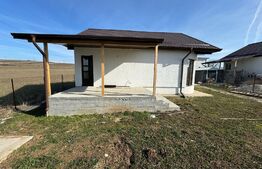 Casa individuala, 70mp utili,280mp teren, zona Albesti