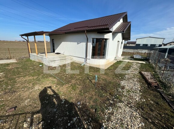 Casa de vânzare 3 camere Albesti - 135371CV | BLITZ Craiova | Poza1