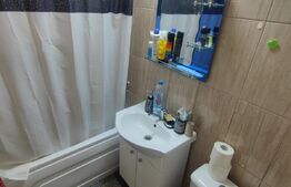 Camera de camin cu baie si bucatarie proprie,20 mp , zona Sarari