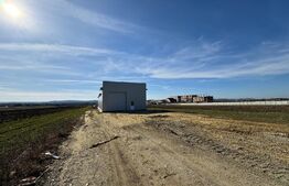 Hală 336 mp pe un teren de 3.000 mp, cu acces din drum asfaltat, Răcari