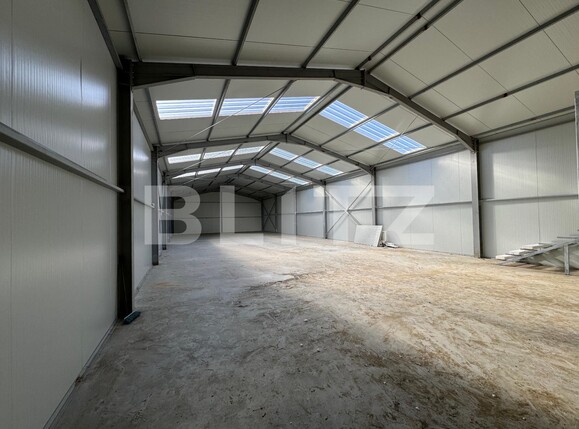 Spațiu industrial de vânzare Exterior Vest - 135692SVI | BLITZ Craiova | Poza6