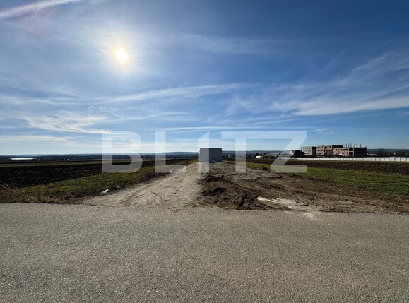 Spațiu industrial de vânzare Exterior Vest - 135692SVI | BLITZ Craiova | Poza3