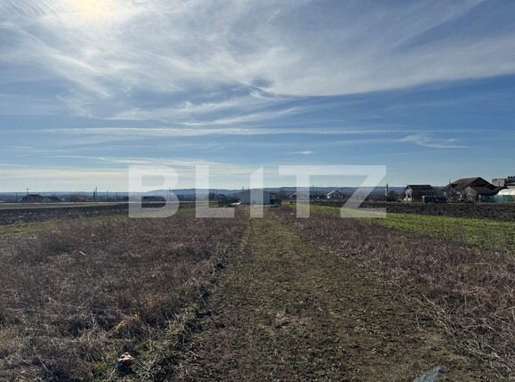 Spațiu industrial de vânzare Exterior Vest - 135692SVI | BLITZ Craiova | Poza8