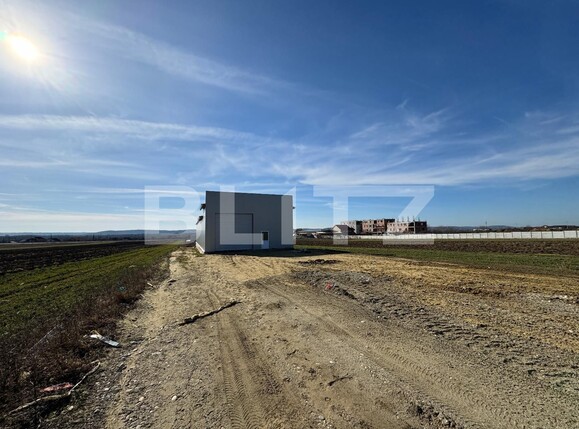Spațiu industrial de închiriat Exterior Vest - 135693SII | BLITZ Craiova | Poza2