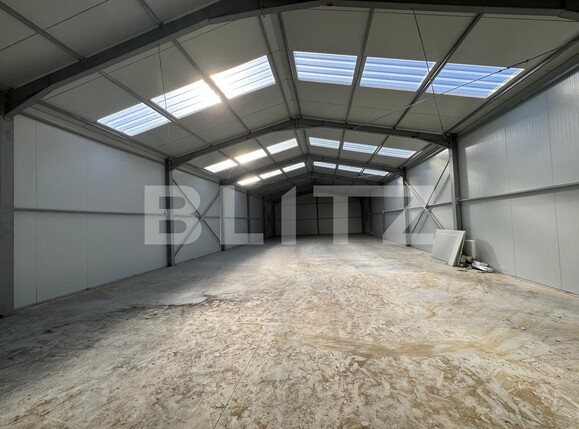 Spațiu industrial de închiriat Exterior Vest - 135693SII | BLITZ Craiova | Poza1