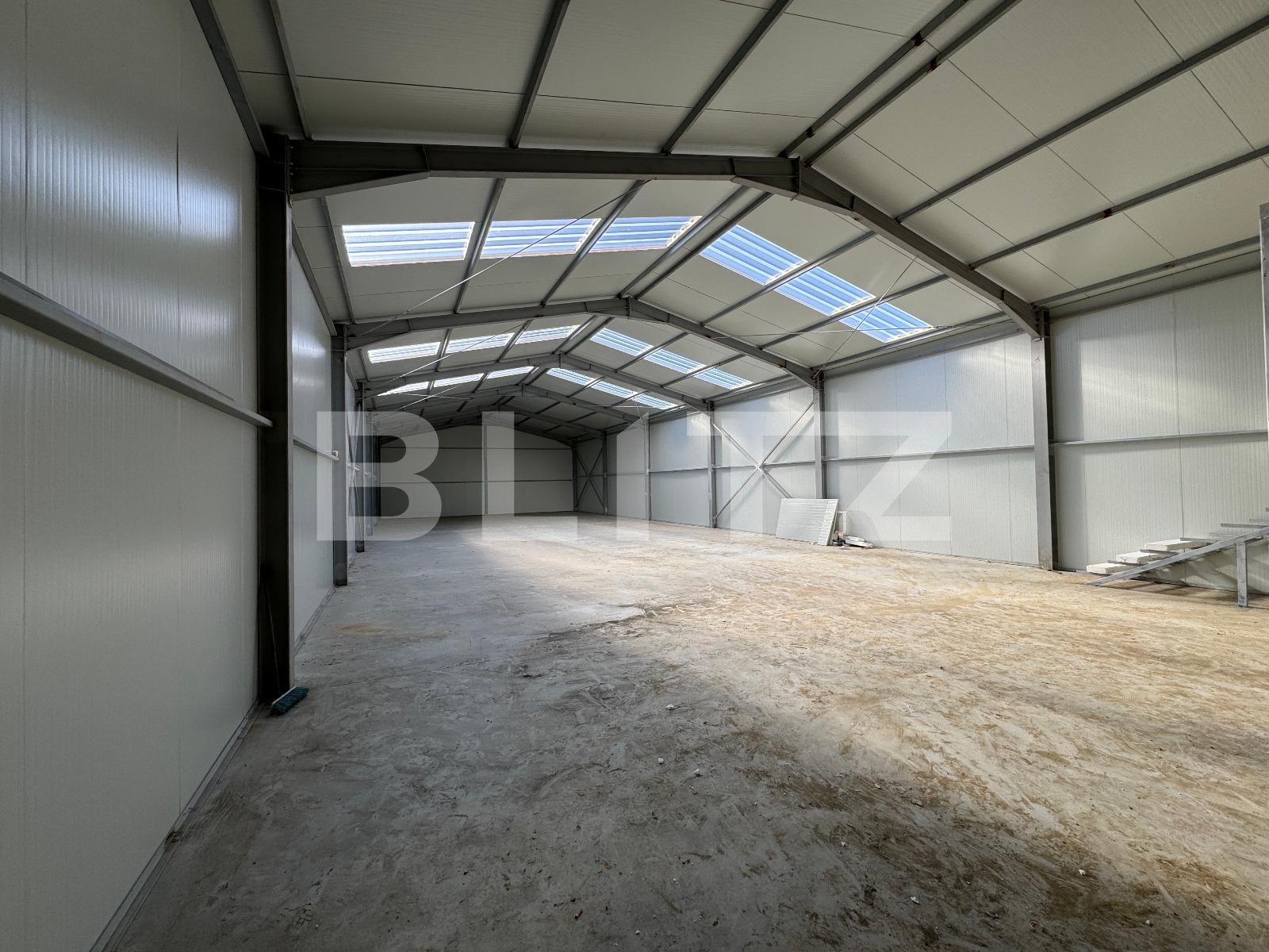 Spațiu industrial de închiriat Exterior Vest - 135693SII | BLITZ Craiova | Poza6