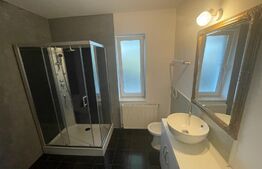 Casa P+2, 480 mp utili, 500 mp teren, zona Ford 