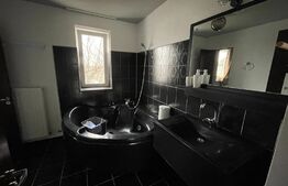 Casa P+2, 480 mp utili, 500 mp teren, zona Ford 