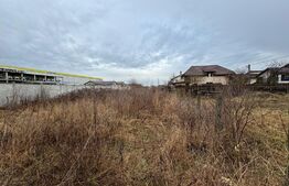 Teren 1829 mp intravilan, toate utilitatile, zona Balta Verde