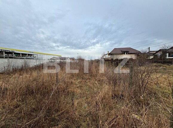 Teren de vânzare Balta Verde - 135753TV | BLITZ Craiova | Poza2