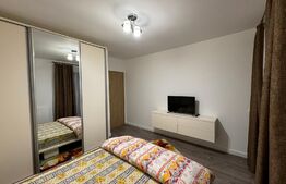 Apartament 3 camere de 80 mp, terasă și bar cu grătar, Calea Severinului