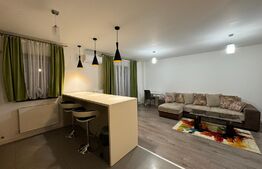 Apartament 3 camere de 80 mp, terasă și bar cu grătar, Calea Severinului