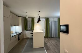 Apartament 3 camere de 80 mp, terasă și bar cu grătar, Calea Severinului