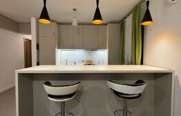 Apartament 3 camere de 80 mp, terasă și bar cu grătar, Calea Severinului