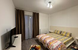 Apartament 3 camere de 80 mp, terasă și bar cu grătar, Calea Severinului