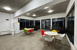 Apartament 3 camere de 80 mp, terasă și bar cu grătar, Calea Severinului