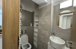 Apartament 3 camere de 80 mp, terasă și bar cu grătar, Calea Severinului