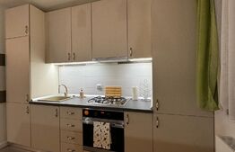 Apartament 3 camere de 80 mp, terasă și bar cu grătar, Calea Severinului