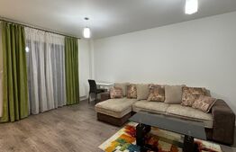 Apartament 3 camere de 80 mp, terasă și bar cu grătar, Calea Severinului