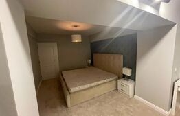 Apartament 3 camere, 120 mp, Calea Bucuresti, zona Universitate