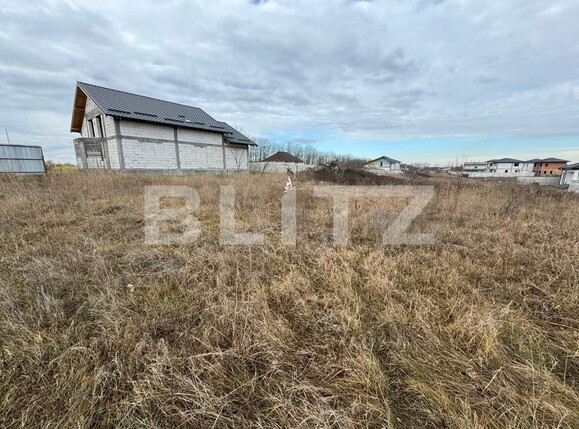 Teren de vânzare Preajba - 135787TV | BLITZ Craiova | Poza1