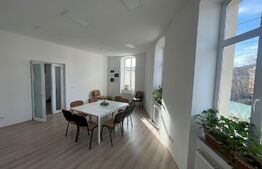 Spatii de birouri , 400 mp, zona Agronomie,  foarte bine pozitionat cu acces facil