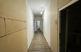 Spațiu comercial și industrial tip hală, P + 1, 560 mp cu teren de 800 mp, Brestei