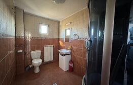 Spațiu comercial și industrial tip hală, P + 1, 560 mp cu teren de 800 mp, Brestei