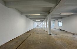 Spațiu comercial și industrial tip hală, P + 1, 560 mp cu teren de 800 mp, Brestei