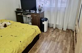 Apartament de 3 Camere, 50mp, în Craiovița - Elena Farago