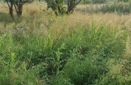 Teren zona industriala, 3300 mp