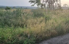 Teren zona industriala, 3300 mp