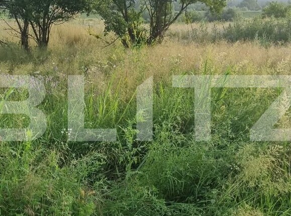 Teren de vânzare Isalnita - 135994TV | BLITZ Craiova | Poza4