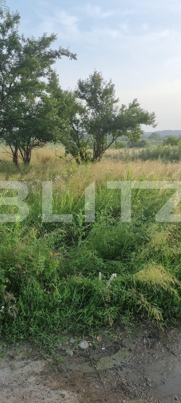 Teren de vânzare Isalnita - 135994TV | BLITZ Craiova | Poza4