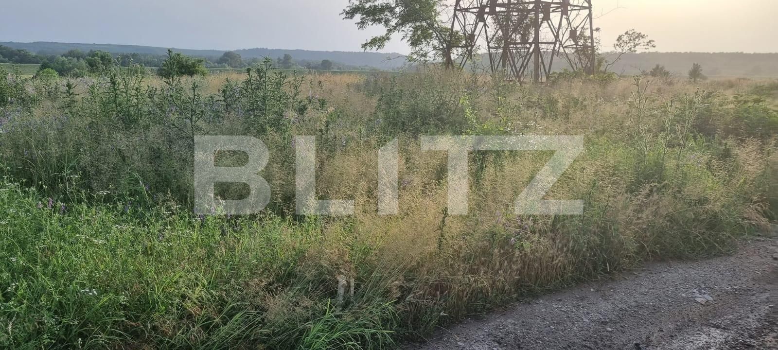 Teren de vânzare Isalnita - 135994TV | BLITZ Craiova | Poza3