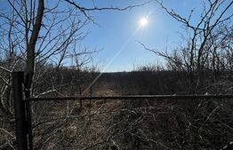 Teren de inchiriat, 1800 mp,pozitie foarte buna, pretabil pentru multe activitati