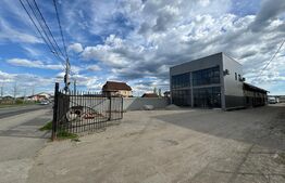 Spațiu comercial și industrial tip hală, P + 1, 760 mp cu teren de 800 mp, Brestei