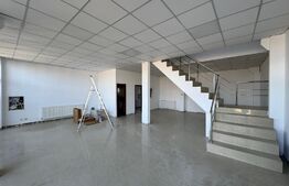 Spațiu comercial și industrial tip hală, P + 1, 760 mp cu teren de 800 mp, Brestei