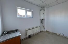 Spațiu comercial și industrial tip hală, P + 1, 760 mp cu teren de 800 mp, Brestei