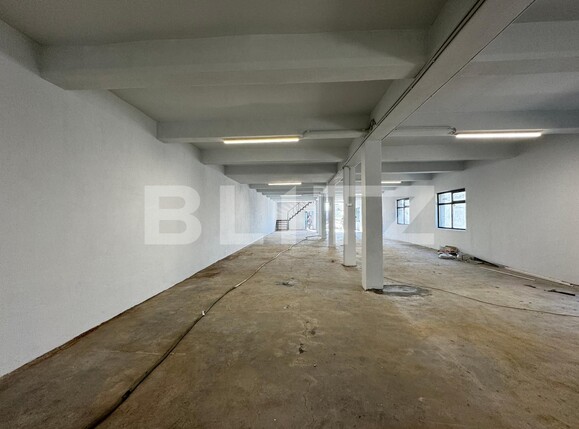 Spațiu industrial de închiriat Brestei - 136018SII | BLITZ Craiova | Poza18