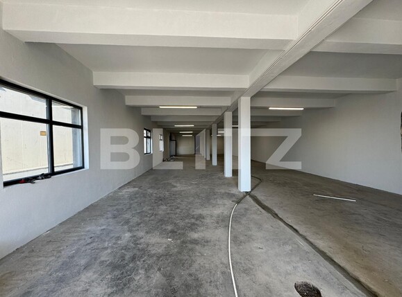 Spațiu industrial de închiriat Brestei - 136018SII | BLITZ Craiova | Poza16