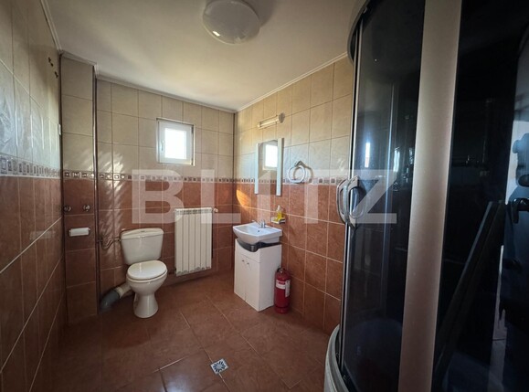 Spațiu industrial de închiriat Brestei - 136018SII | BLITZ Craiova | Poza14