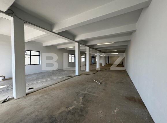 Spațiu industrial de închiriat Brestei - 136018SII | BLITZ Craiova | Poza17