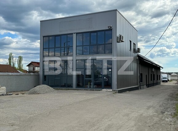 Spațiu industrial de închiriat Brestei - 136018SII | BLITZ Craiova | Poza3