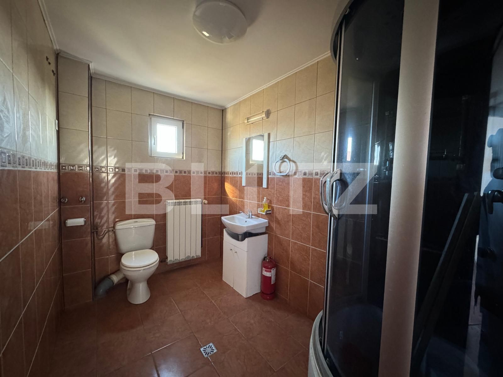 Spațiu industrial de închiriat Brestei - 136018SII | BLITZ Craiova | Poza14