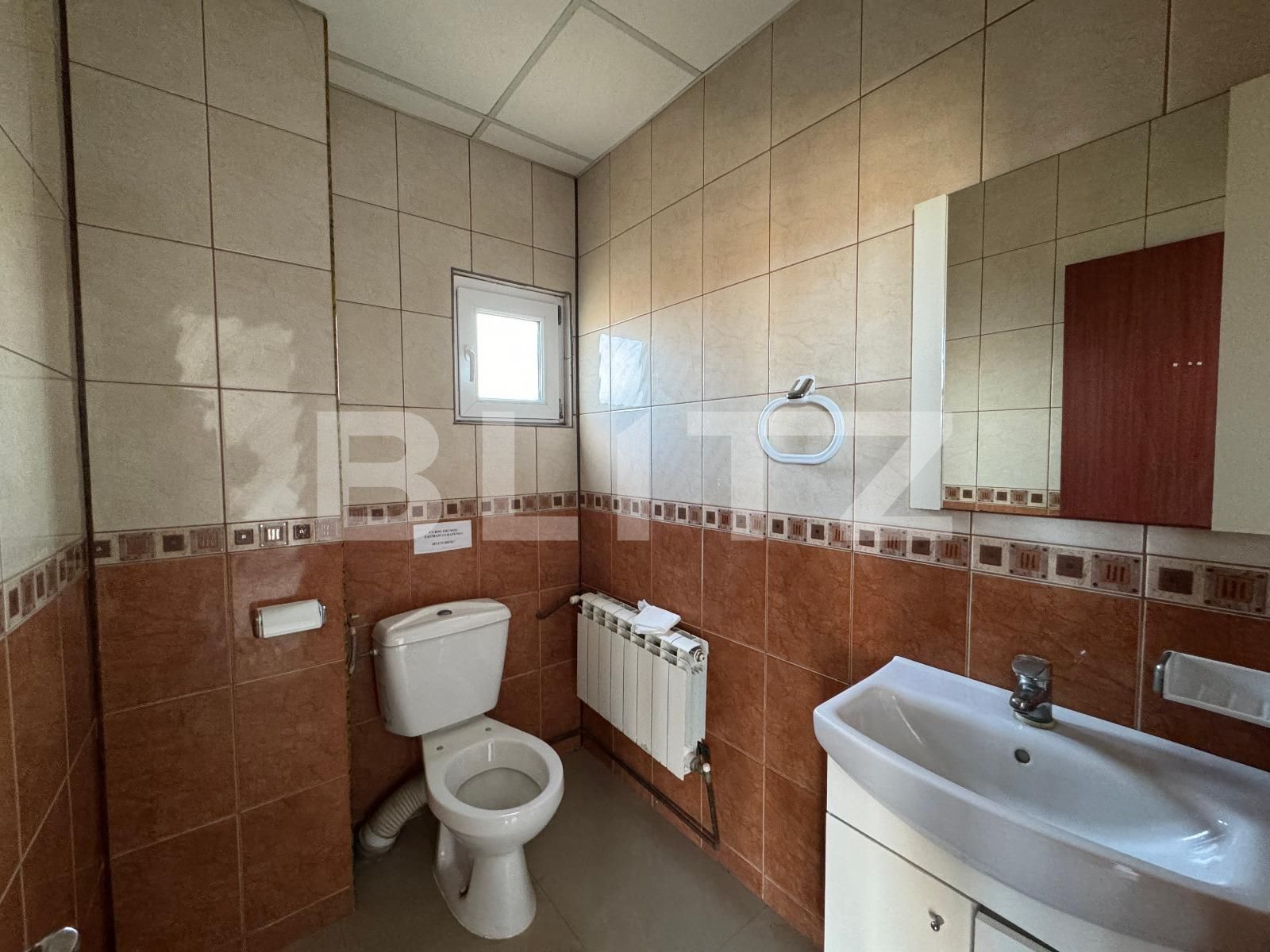 Spațiu industrial de închiriat Brestei - 136018SII | BLITZ Craiova | Poza15